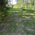 Marķējums (labāk gan izmantot mietiņus)